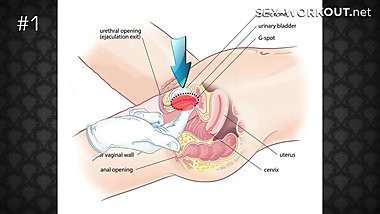Shower sex positions