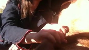 Handjob in car 18 teen + cum 2